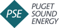 PSE Logo
